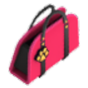Red Purse